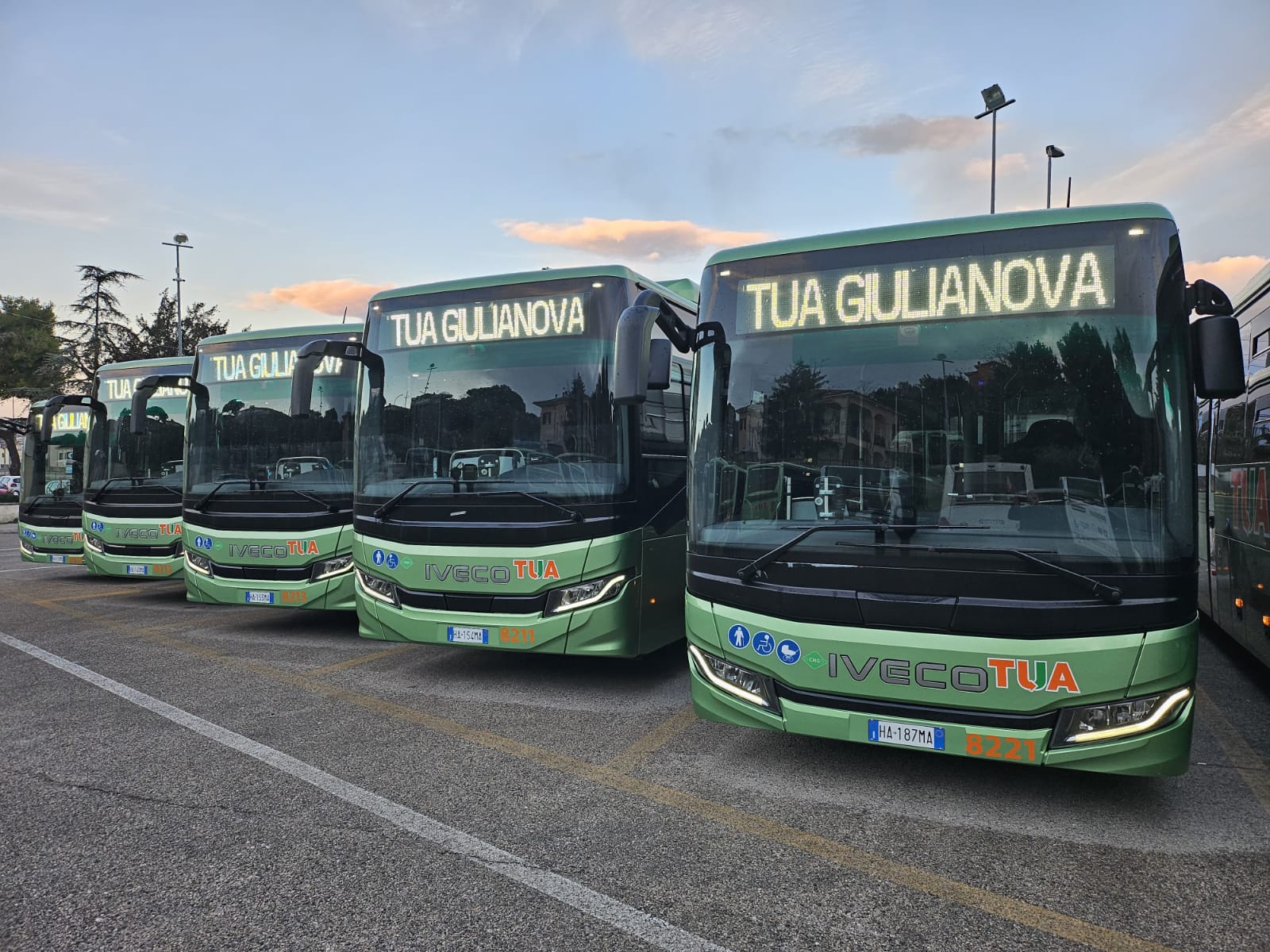 BUS_GIULIANOVA.jpeg