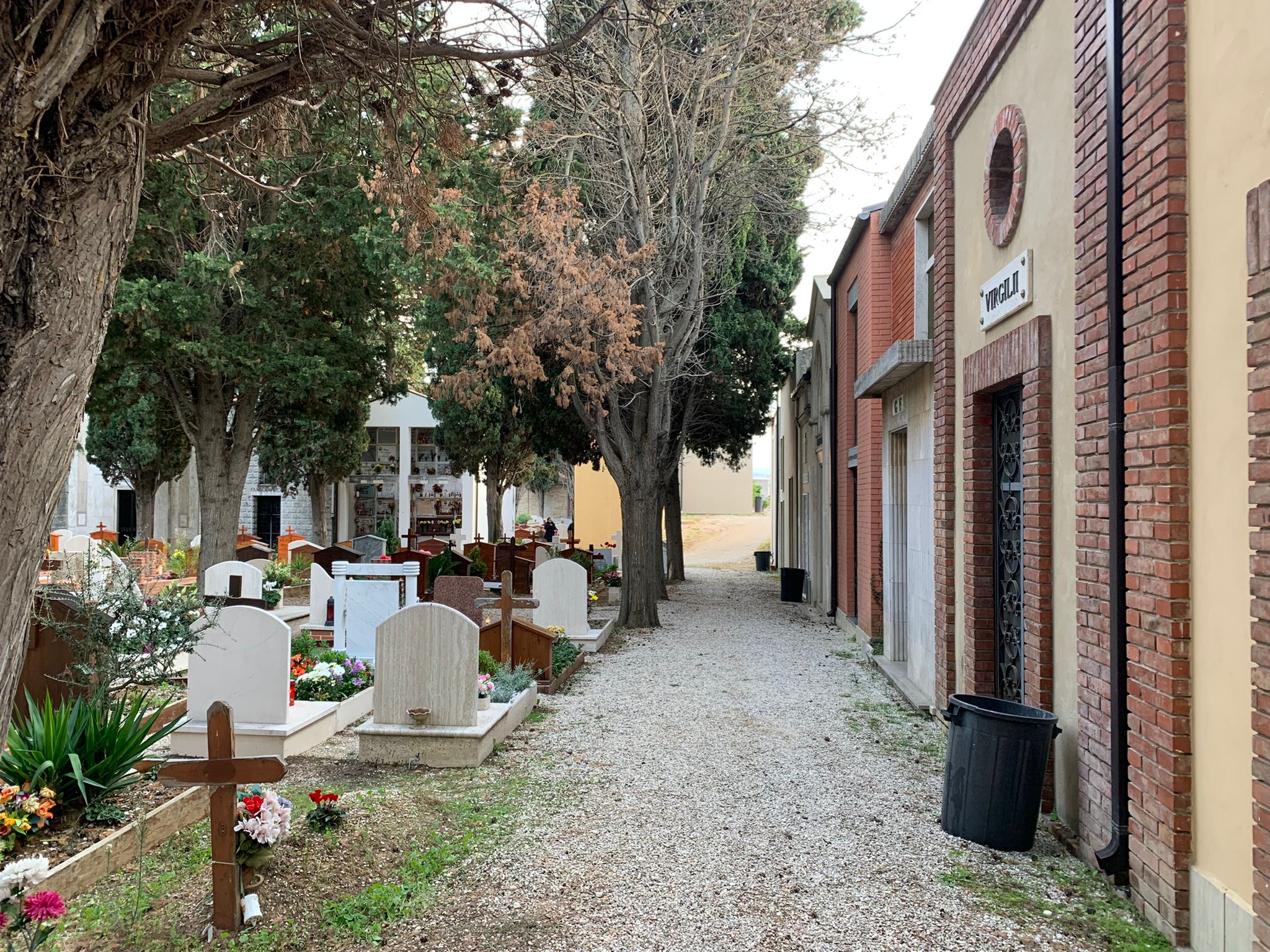 Cimitero_Roseto_capoluogo_dopo_la_pulizia_straordinaria_2.jpeg
