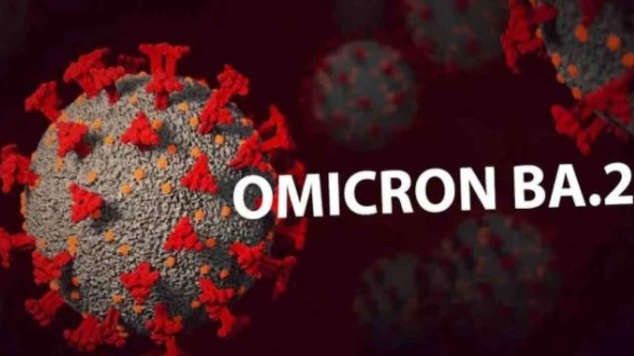 Omicron-2-1.jpg