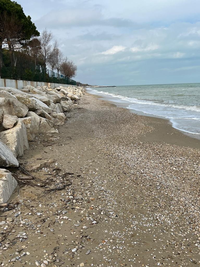 SPIAGGIA_PINETO.jpg