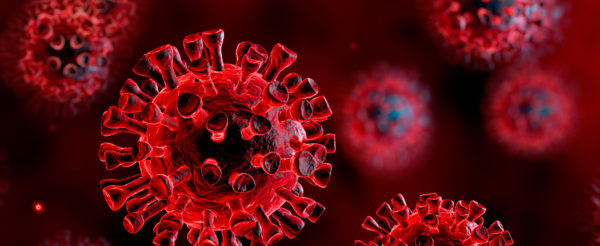 coronavirus-scienza-600x246.jpg