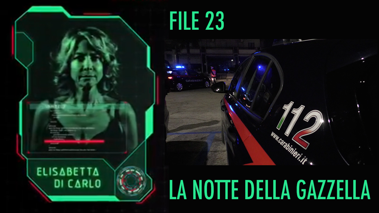 file23gazzella