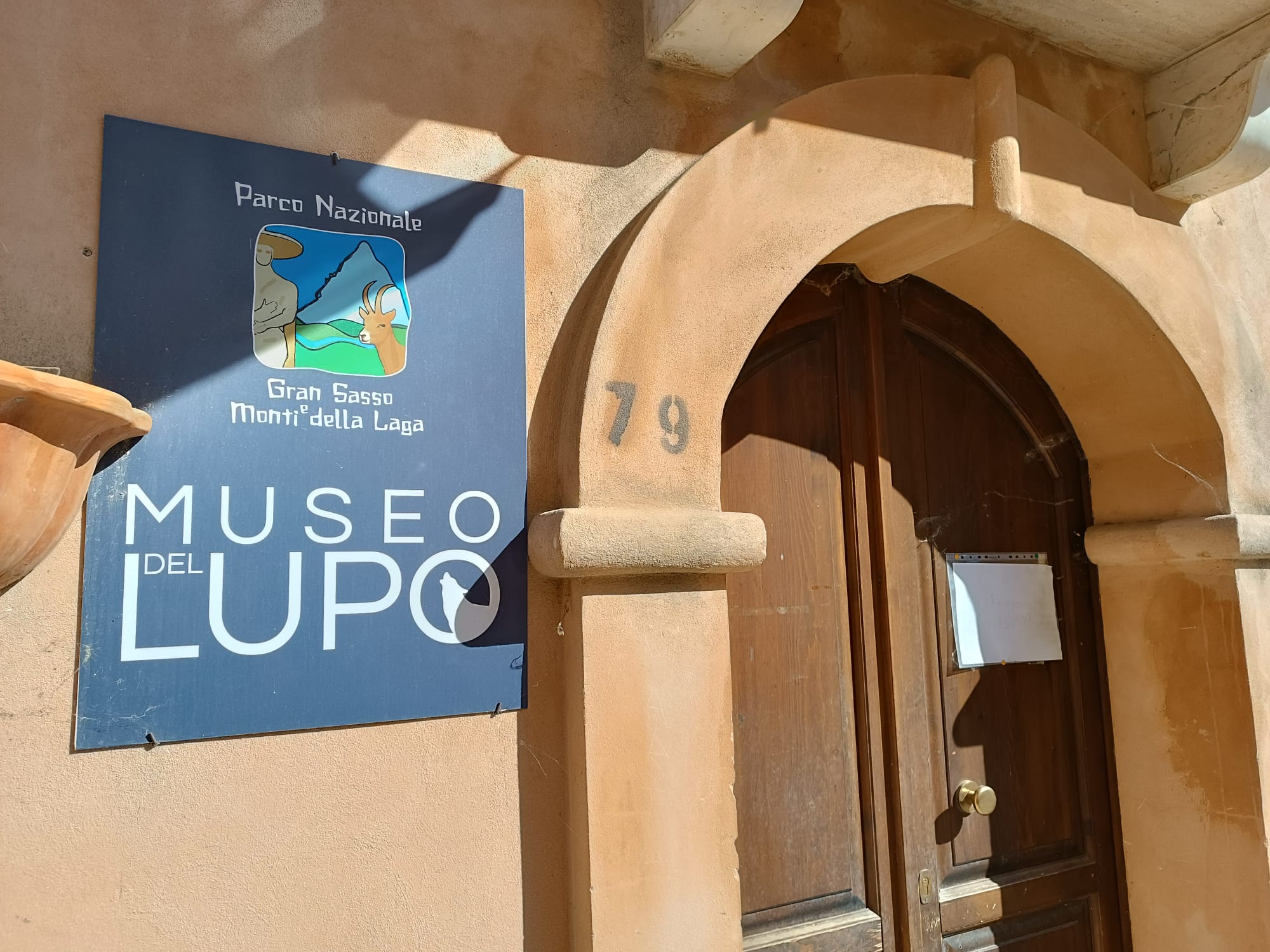 museodellupo1