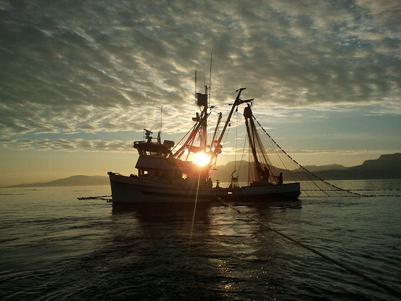 pesca-cerco-alaska.jpg